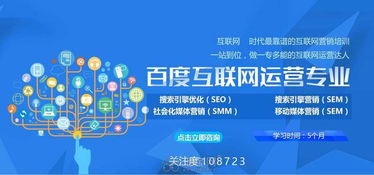 聯(lián)網運營師如何高效經營電子商務 策略與實踐