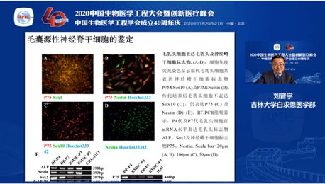 2020中國生物醫(yī)學(xué)工程大會(huì)暨創(chuàng)新醫(yī)療峰會(huì) 干細(xì)胞工程技術(shù)分會(huì)論壇——生物技術(shù)研究與開發(fā)