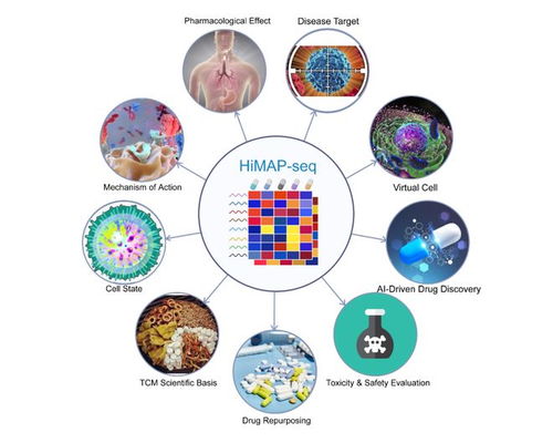 王棟、鄧赟與許俊泉團隊開發(fā)HiMAP-seq新技術(shù)并構(gòu)建三億量級藥物基因表達數(shù)據(jù)庫CIGS，引領(lǐng)生物技術(shù)新前沿