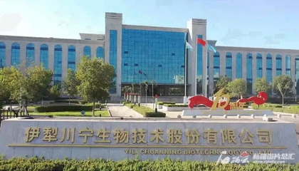 川寧生物創(chuàng)業(yè)板成功上市，引領(lǐng)生物技術(shù)研發(fā)新篇章