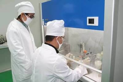 發(fā)酵杜仲 大禹生物專(zhuān)屬技術(shù)引領(lǐng)杜仲活性生物技術(shù)研究與開(kāi)發(fā)